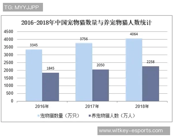 足球球星卡编年史价格分析与市场趋势探讨